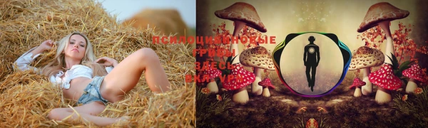 дмт Алексин