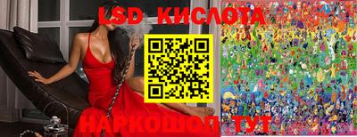 jwh Сланцы