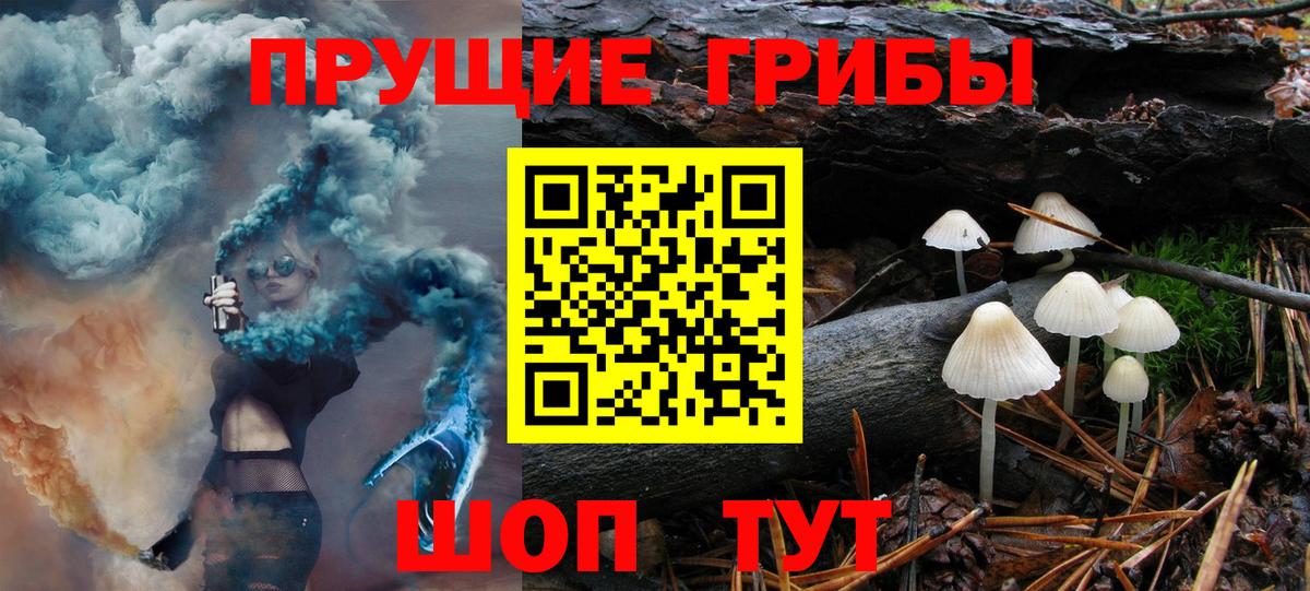 Галлюциногенные грибы Magic Shrooms  Псилоцибиновые грибы Cubensis  Вход с VPN  Нягань 